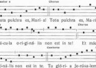 “Tota Pulchra” – Concerto-meditazione sulla figura di Maria